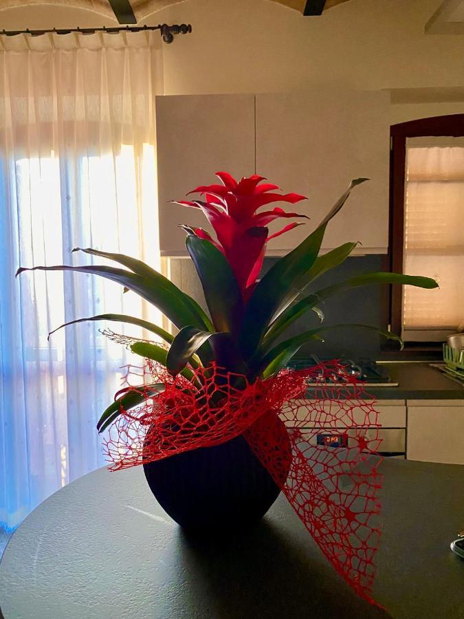 B&B Terrazza Sul Borgo Mogliano Buitenkant foto